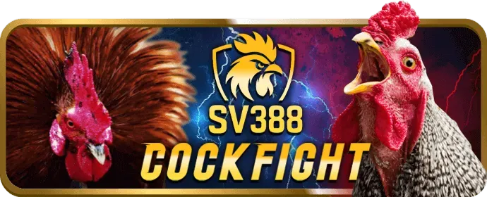 Đấu trường Esports với các game thủ chuyên nghiệp, đại diện cho cá cược Esports tại Win23.