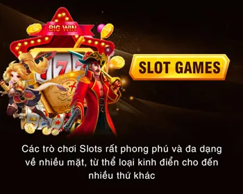 Hỗ trợ đối tác win23